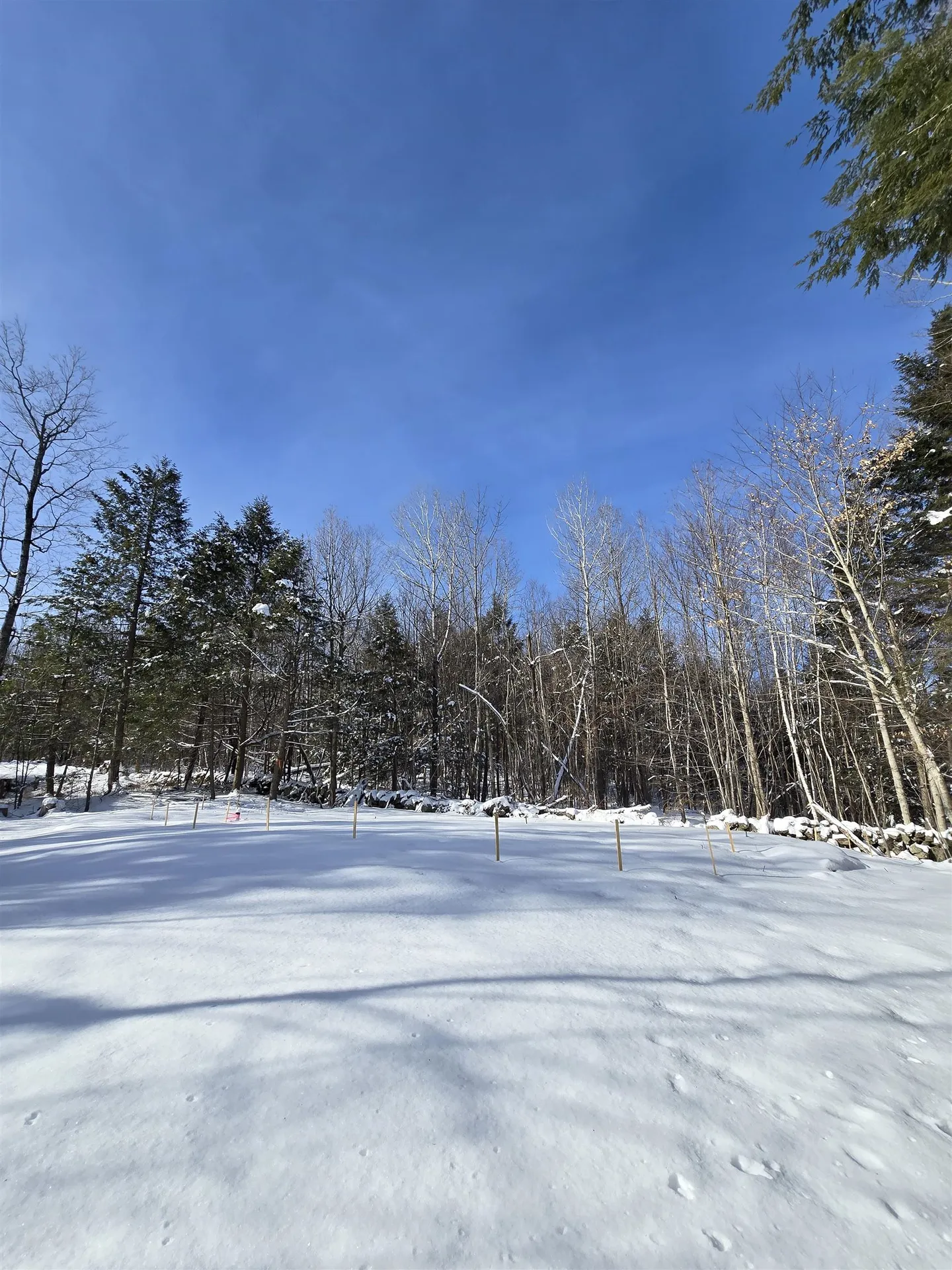 22 Viviana Drive Farmington NH 03835