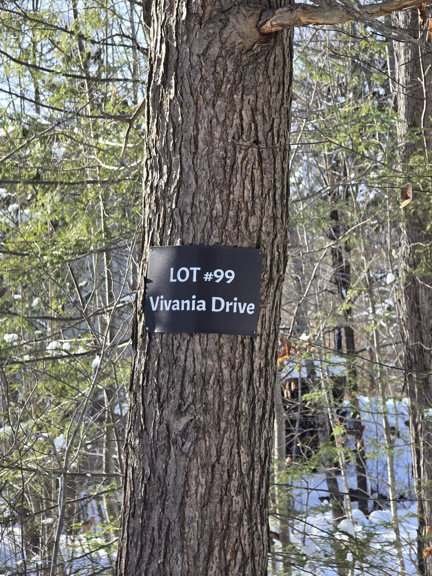 22 Viviana Drive Farmington NH 03835