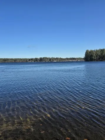 22 Viviana Drive Farmington NH 03835