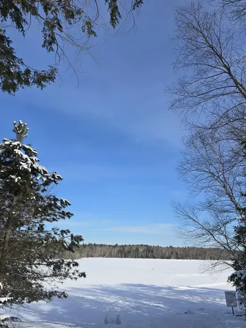 22 Viviana Drive Farmington NH 03835