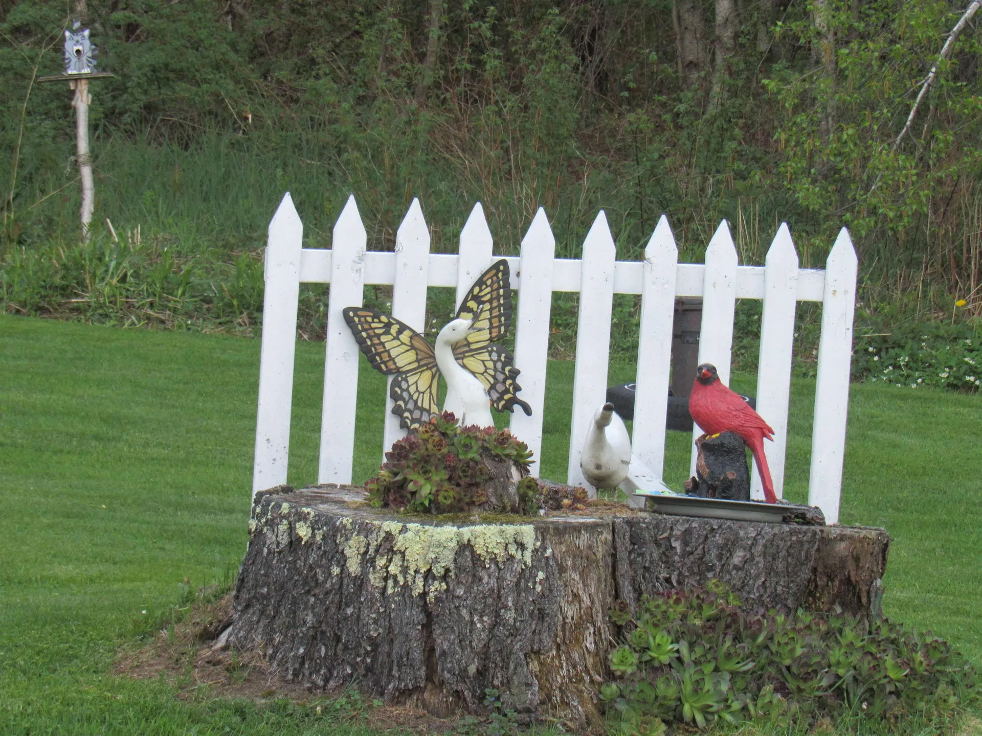 1901 Cross Road Jay VT 05859