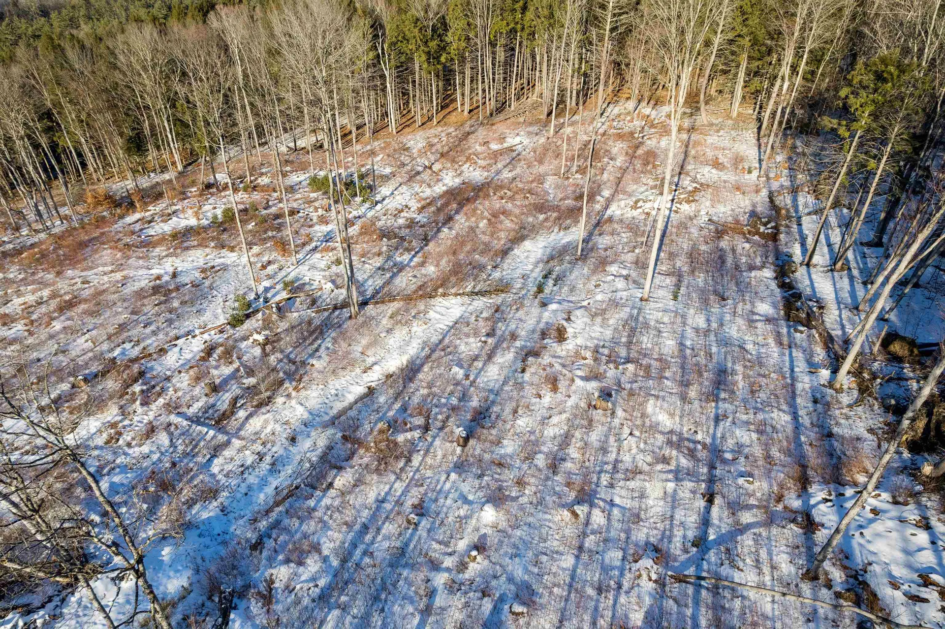 00 Wildlife Road Hartford VT 05001