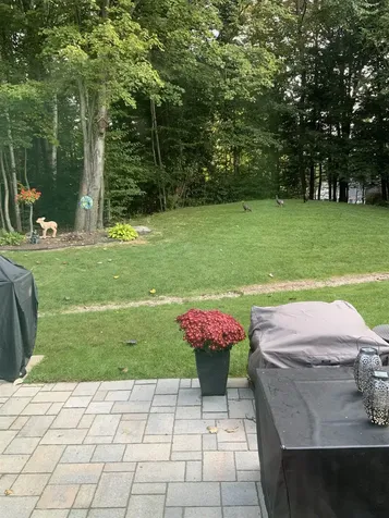 10 Independence Way Laconia NH 03246