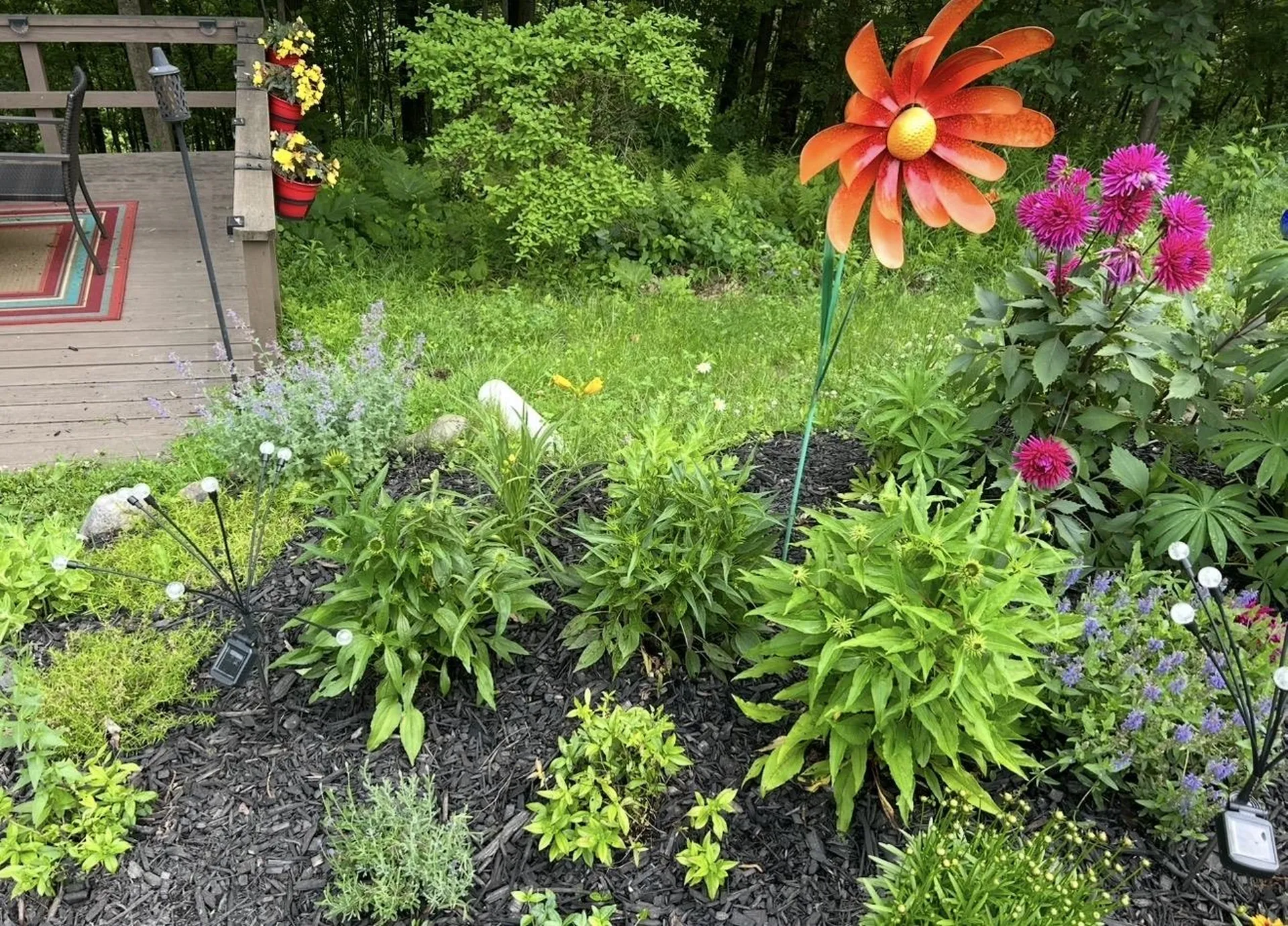 153 Pittsford Commons Pittsford VT 05763