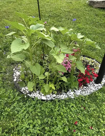 153 Pittsford Commons Pittsford VT 05763