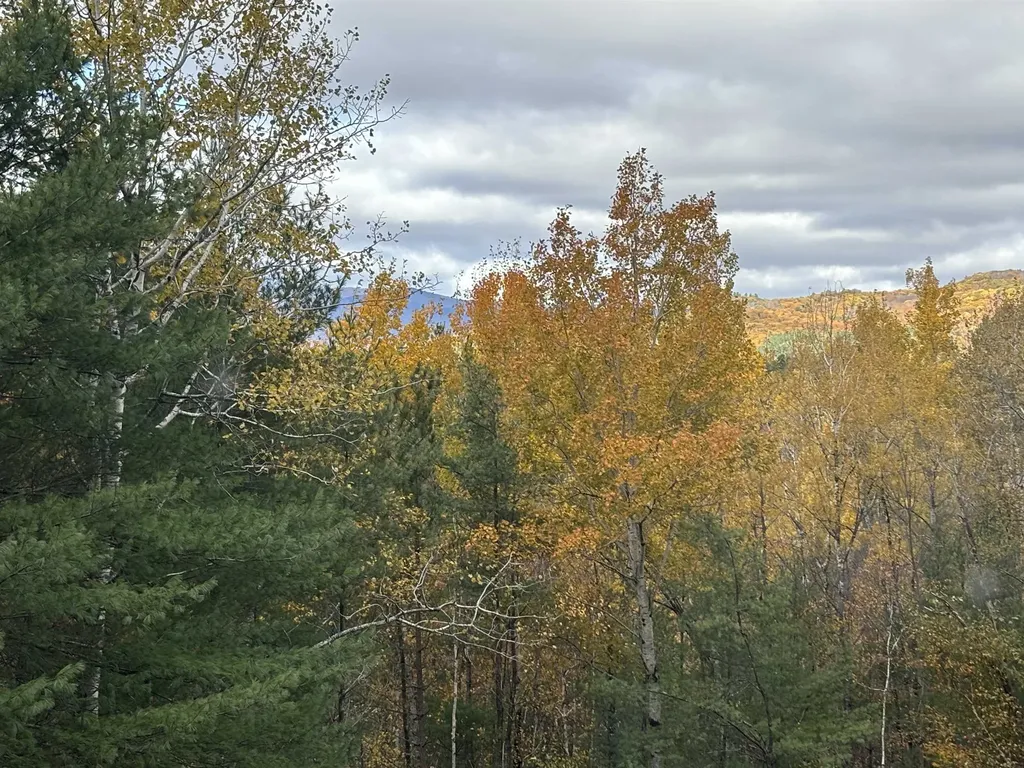 20 Merrill Road Campton NH 03223