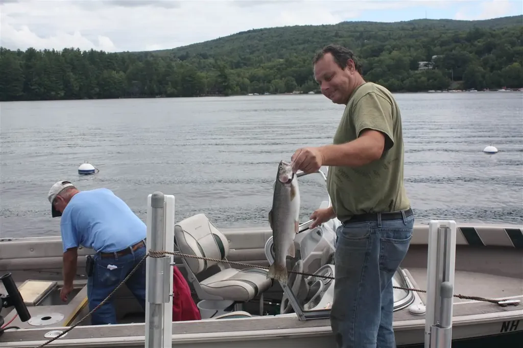 135 W Shore Road Bristol NH 03222