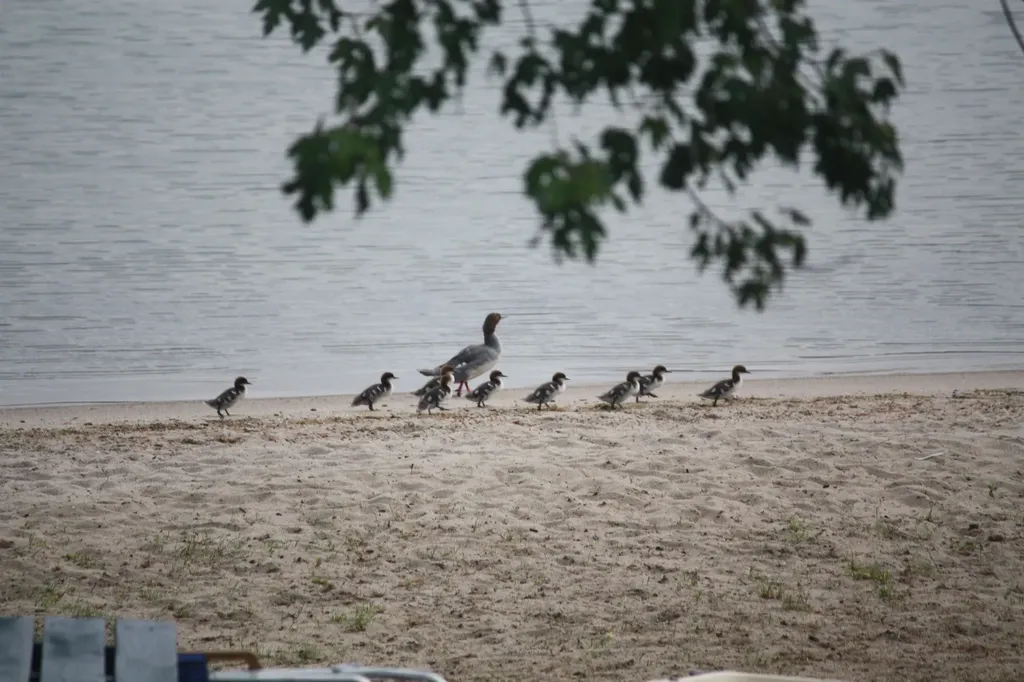 135 W Shore Road Bristol NH 03222