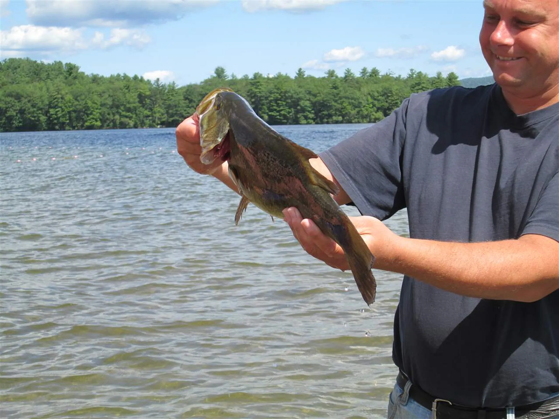 135 W Shore Road Bristol NH 03222