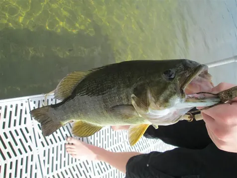 135 W Shore Road Bristol NH 03222