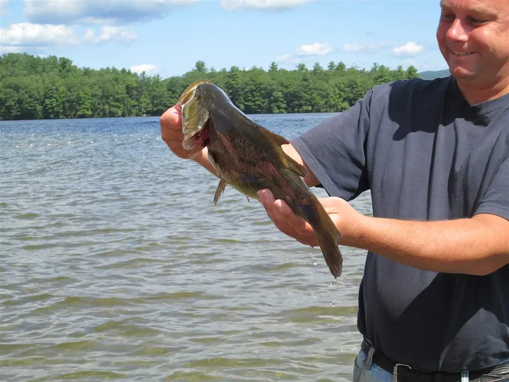 135 W Shore Road Bristol NH 03222