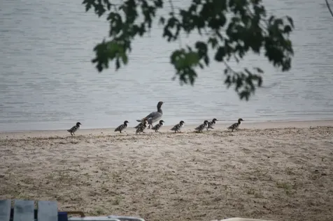 135 W Shore Road Bristol NH 03222