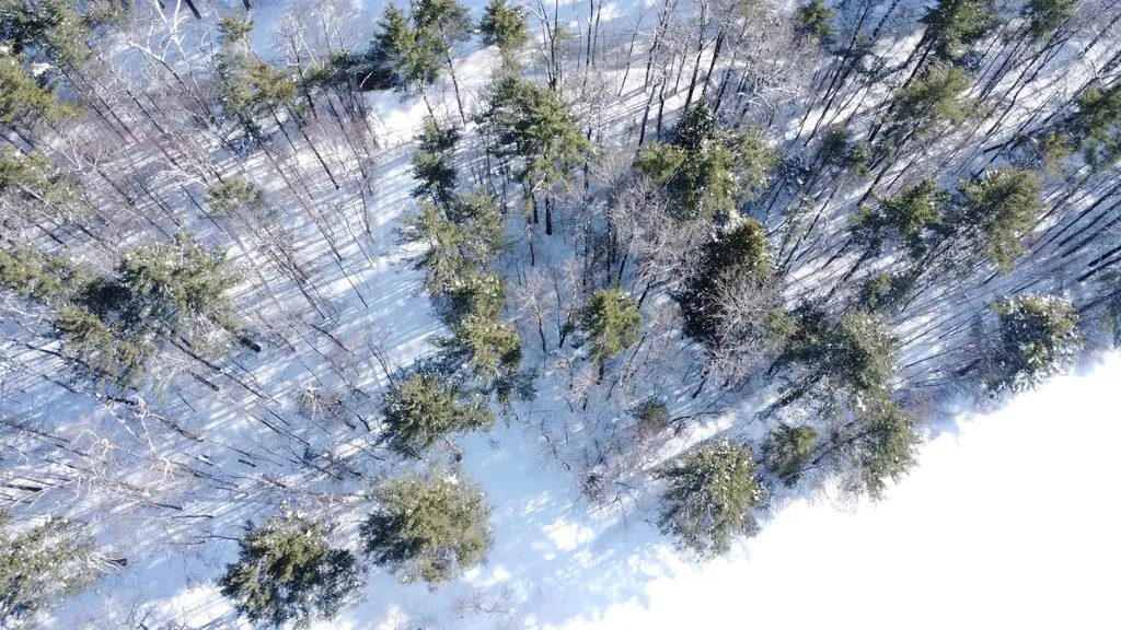 345 Leavitt Hill Road Cornish NH 03745