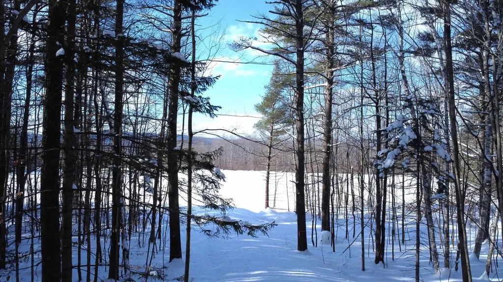 345 Leavitt Hill Road Cornish NH 03745