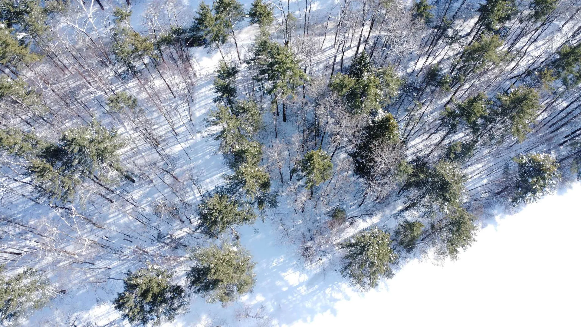 345 Leavitt Hill Road Cornish NH 03745