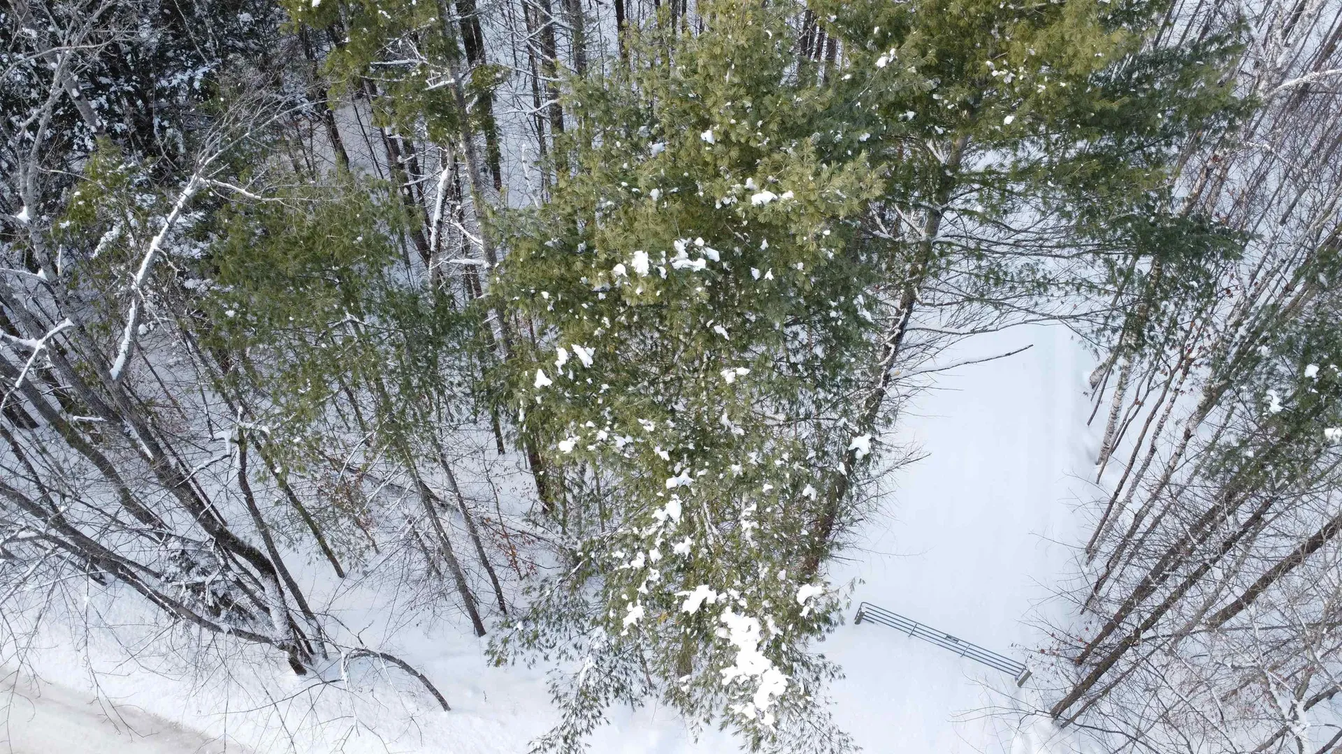 345 Leavitt Hill Road Cornish NH 03745