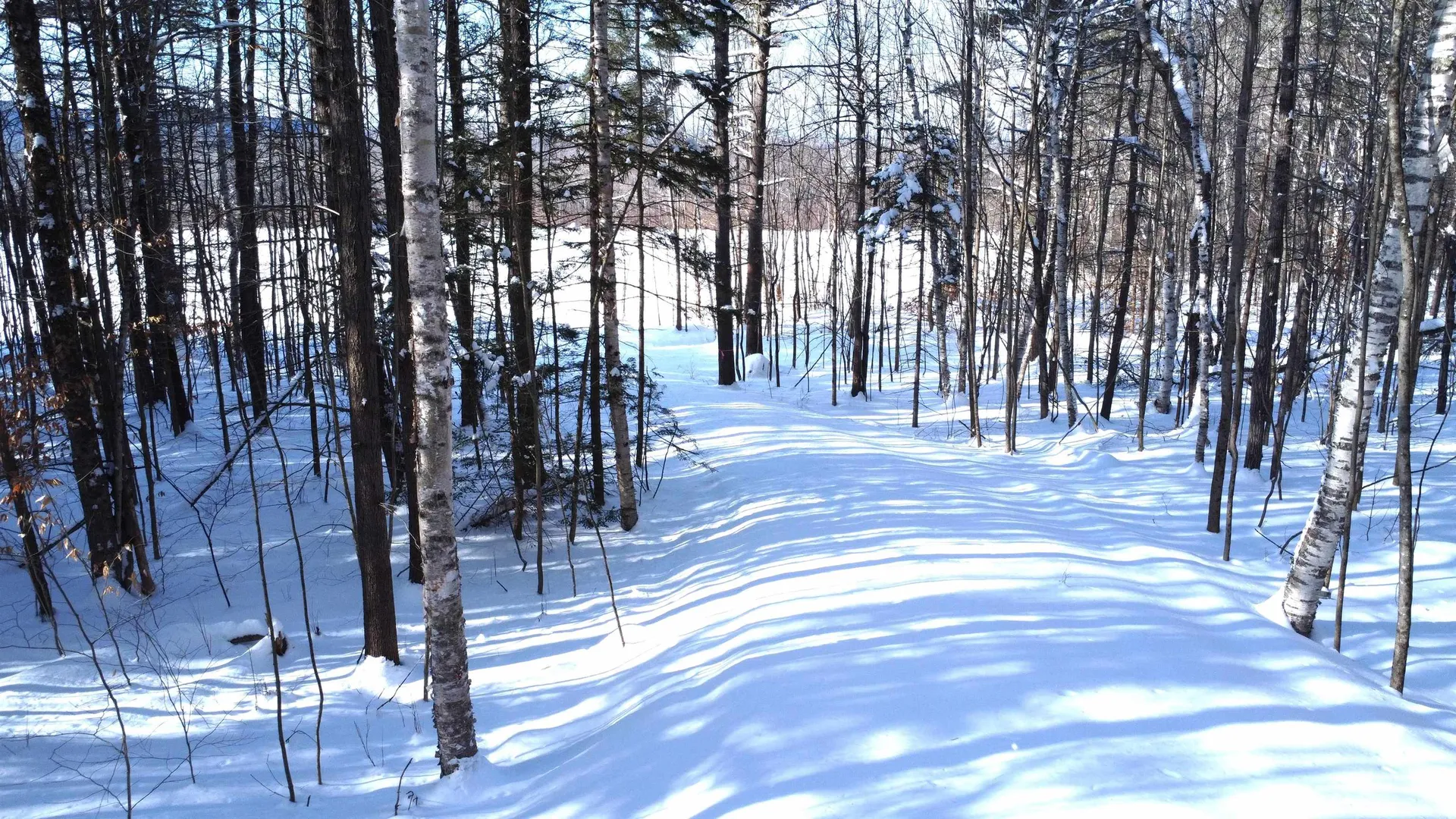 345 Leavitt Hill Road Cornish NH 03745