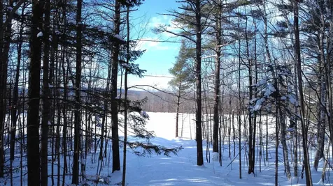 345 Leavitt Hill Road Cornish NH 03745