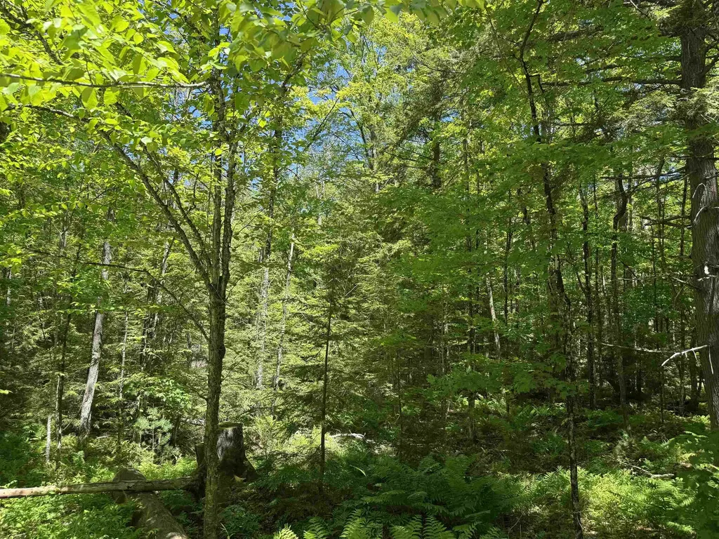 430 Jay Hill Road Hartford VT 05001