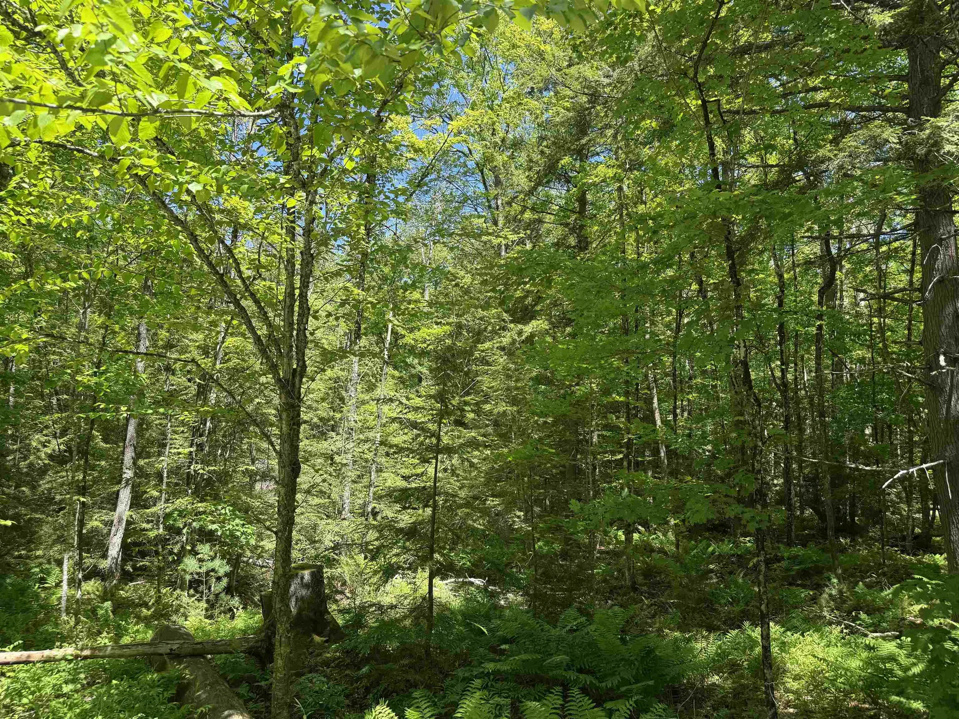 430 Jay Hill Road Hartford VT 05001