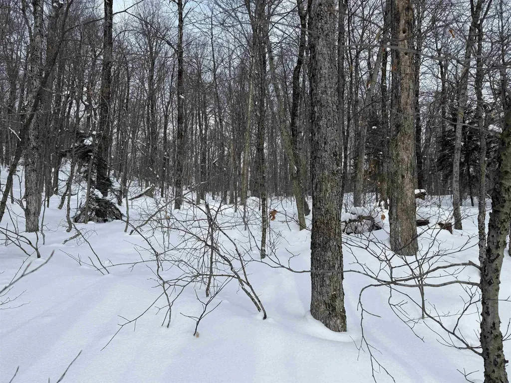 326A Bergabhang Drive Stamford VT 05352