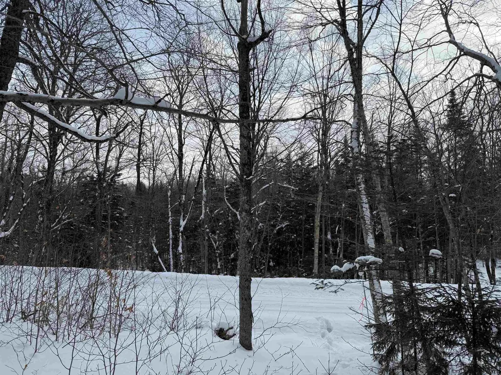 326A Bergabhang Drive Stamford VT 05352