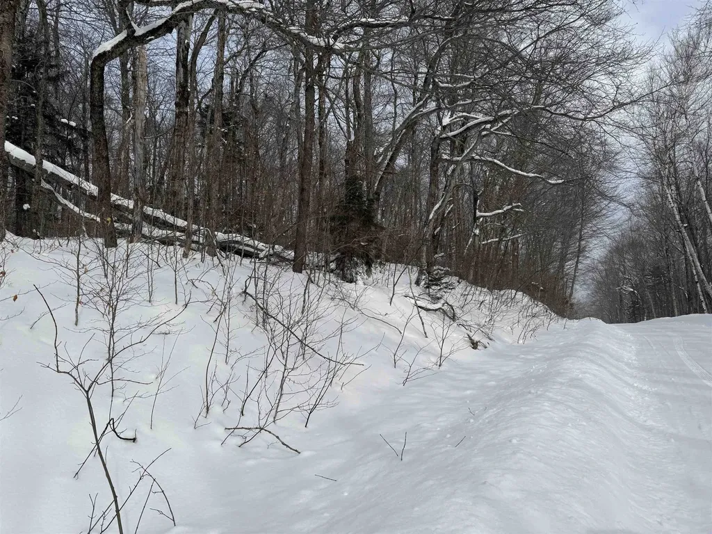 326A Bergabhang Drive Stamford VT 05352