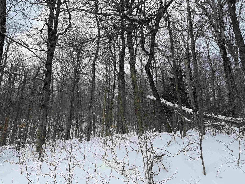 326A Bergabhang Drive Stamford VT 05352