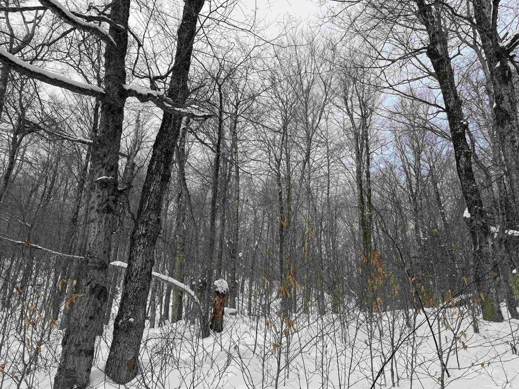 326A Bergabhang Drive Stamford VT 05352