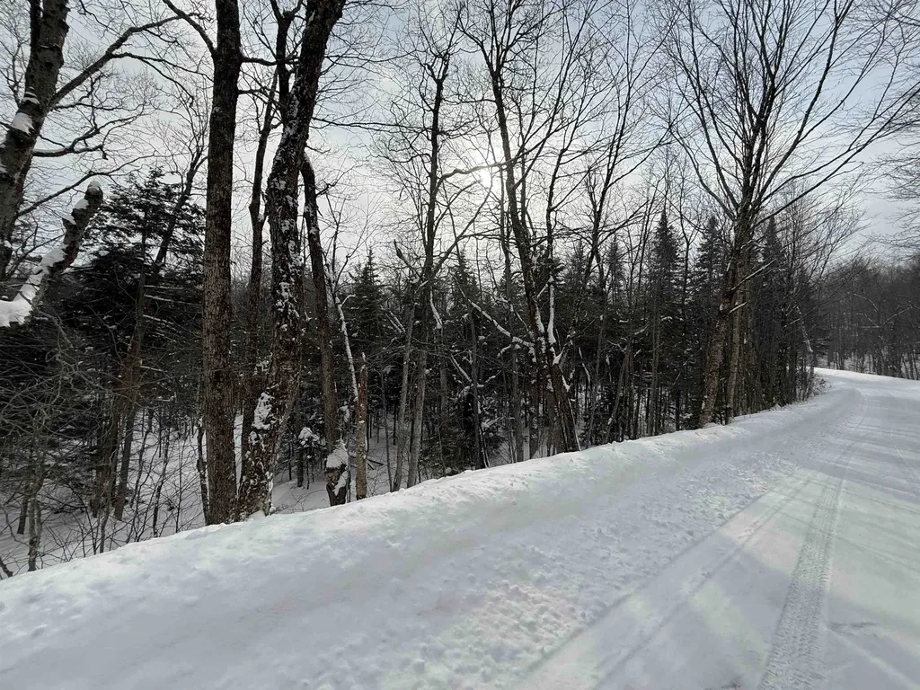 326A Bergabhang Drive Stamford VT 05352