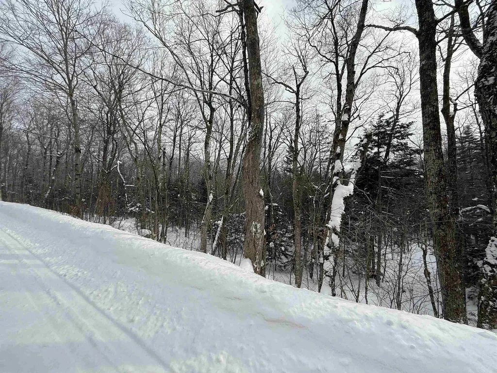 326A Bergabhang Drive Stamford VT 05352