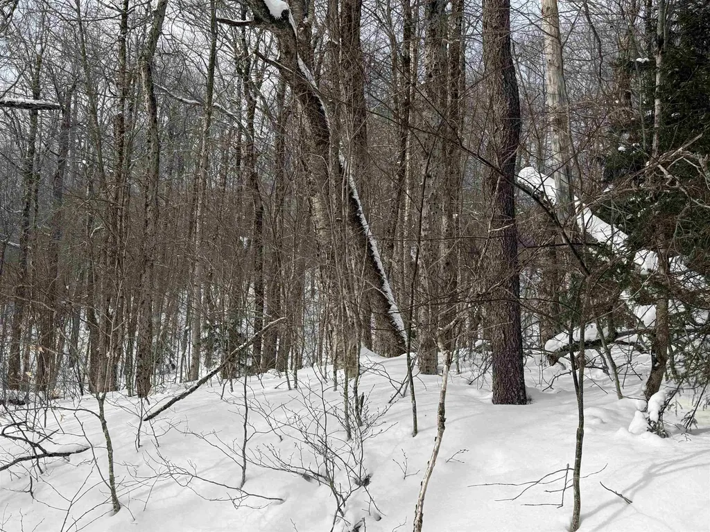 326A Bergabhang Drive Stamford VT 05352