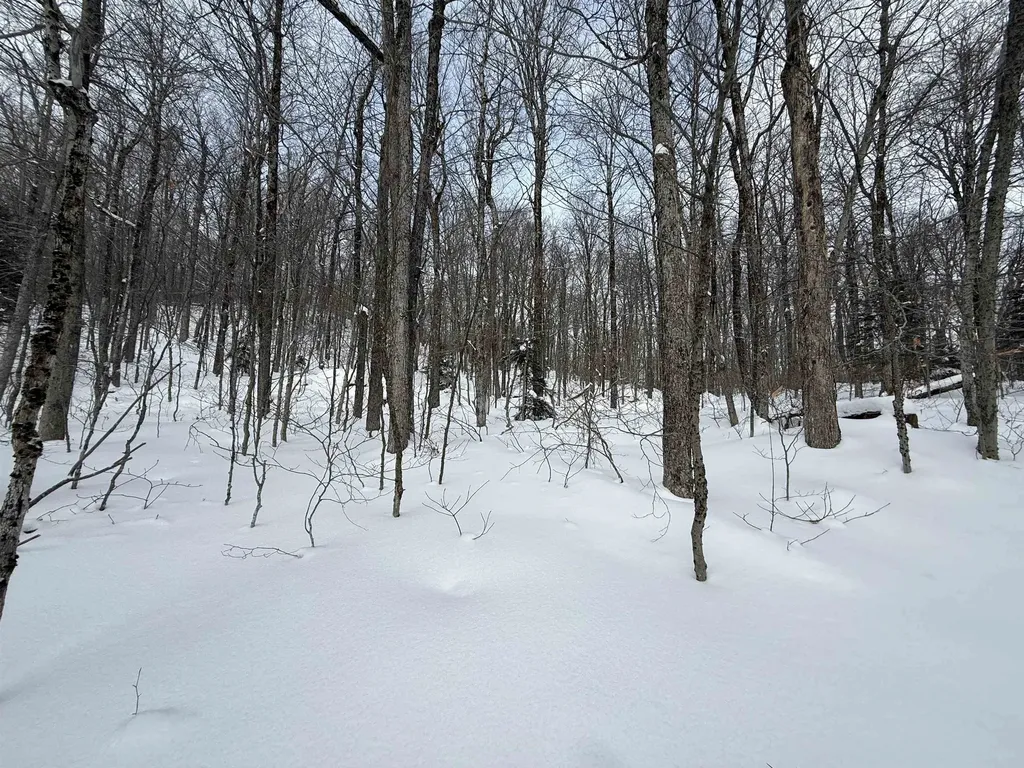 326A Bergabhang Drive Stamford VT 05352