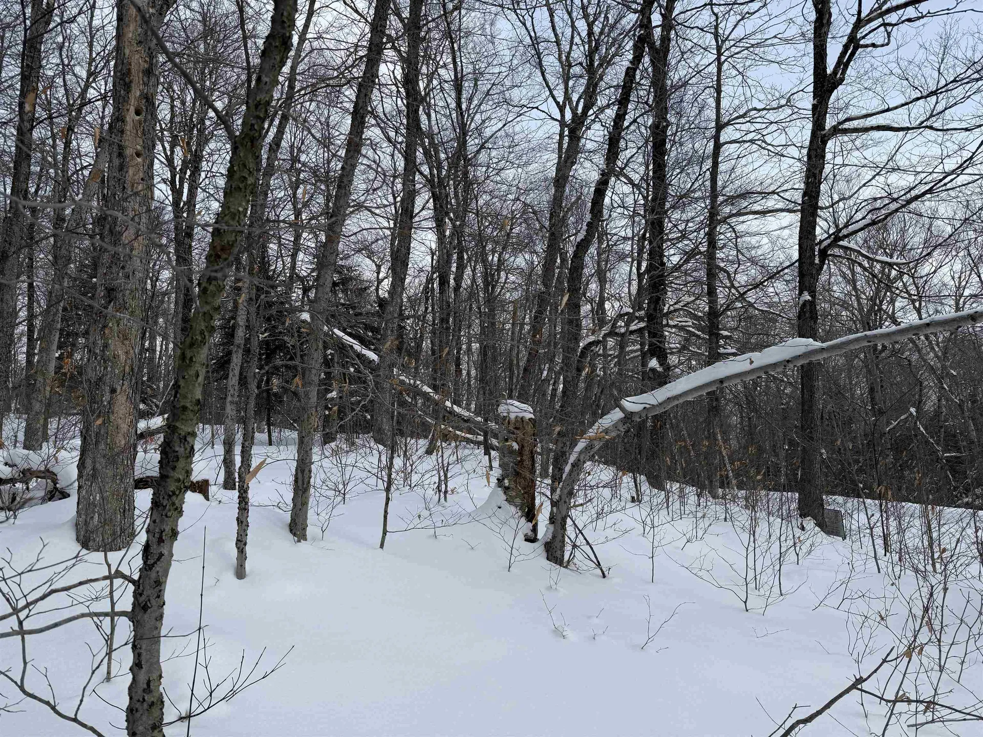 326A Bergabhang Drive Stamford VT 05352