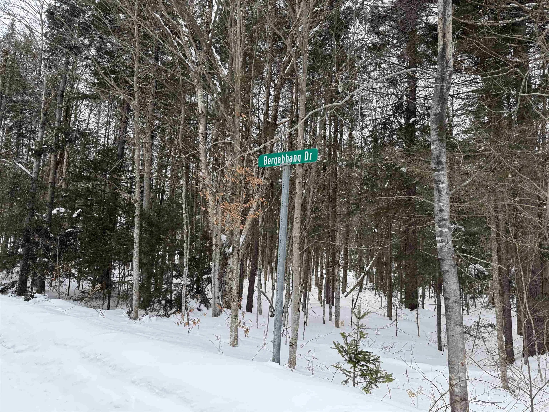 326A Bergabhang Drive Stamford VT 05352