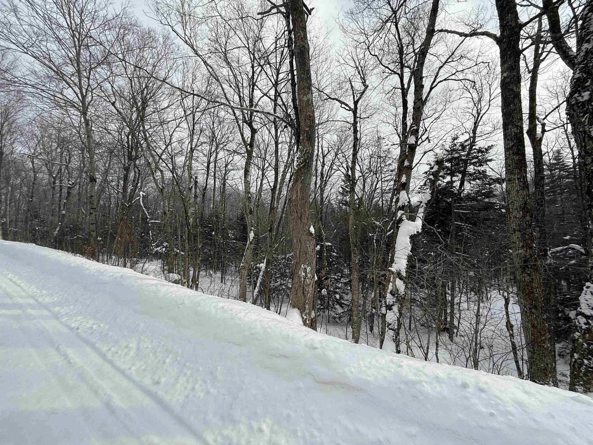 326A Bergabhang Drive Stamford VT 05352