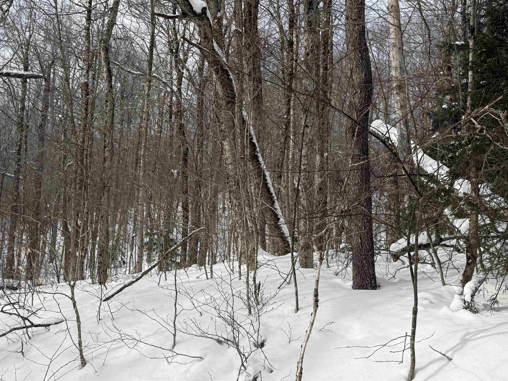 326A Bergabhang Drive Stamford VT 05352