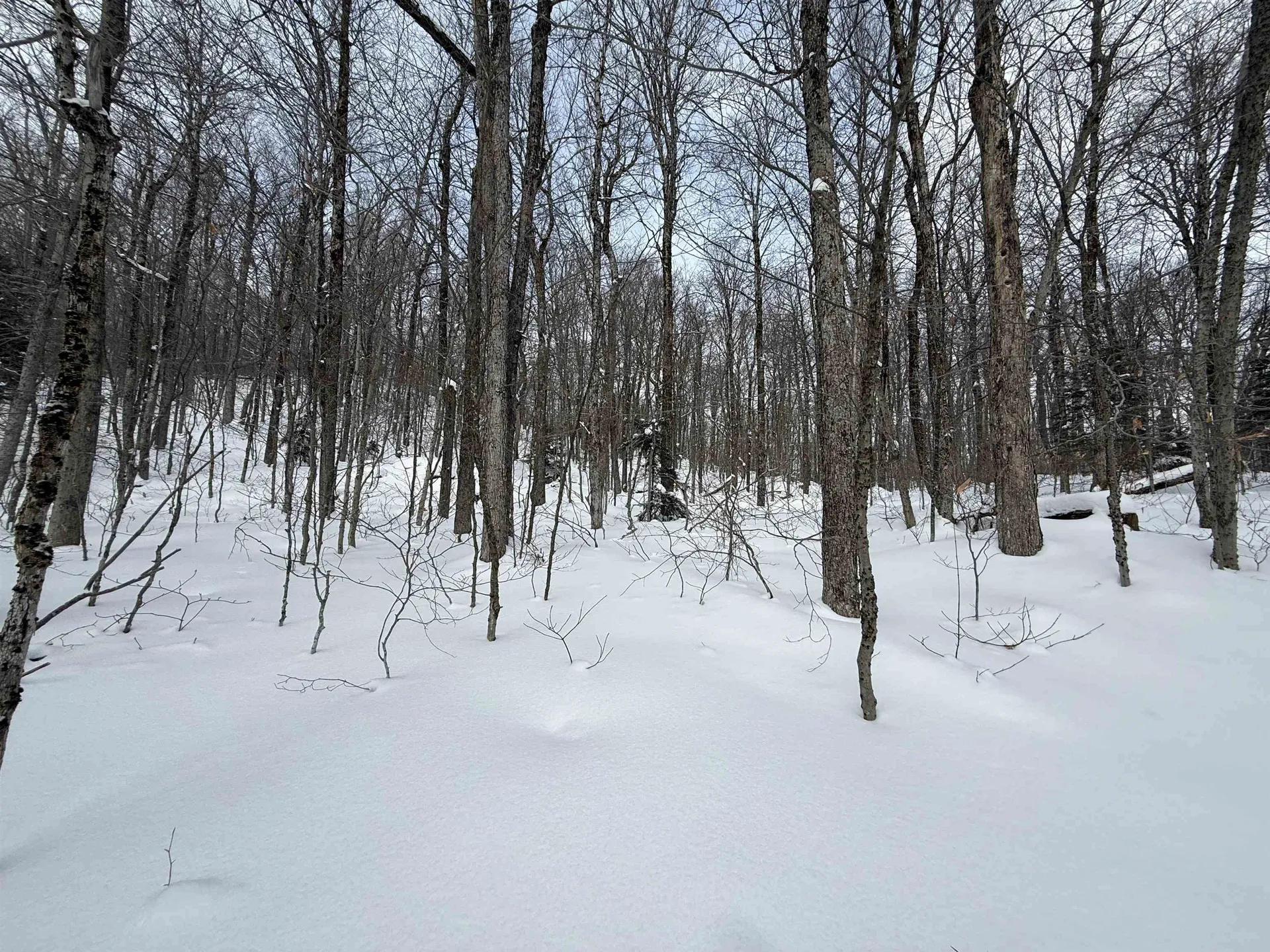 326A Bergabhang Drive Stamford VT 05352