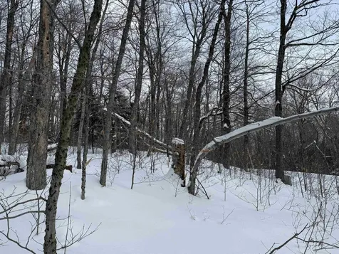 326A Bergabhang Drive Stamford VT 05352