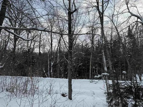 326A Bergabhang Drive Stamford VT 05352