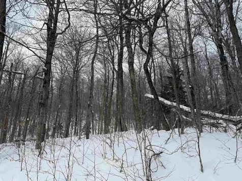 326A Bergabhang Drive Stamford VT 05352