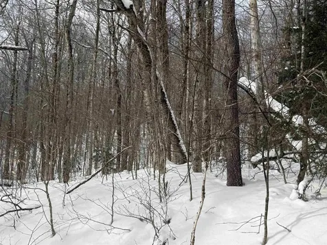 326A Bergabhang Drive Stamford VT 05352