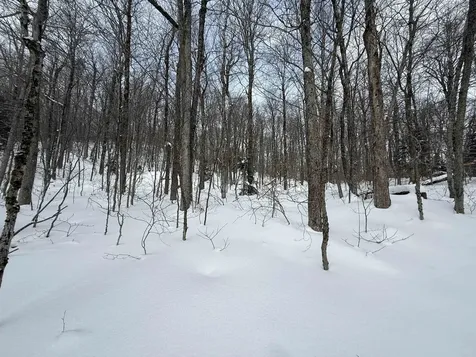 326A Bergabhang Drive Stamford VT 05352