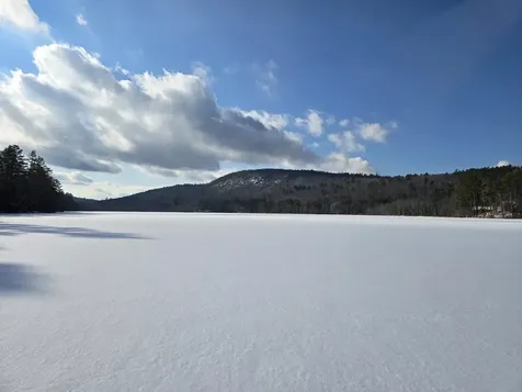 Tbd Stocker Pond Road Grantham NH 03753