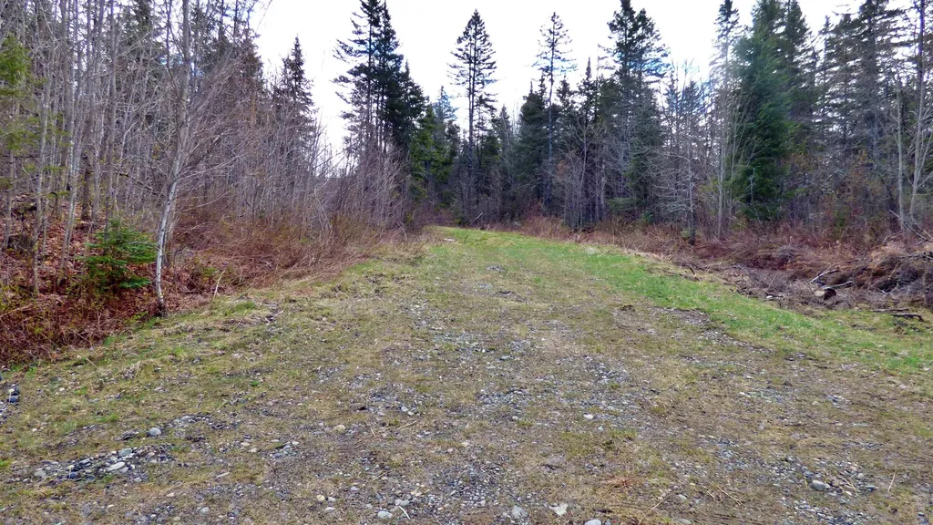 Spar Hawk Road Wheelock VT 05851