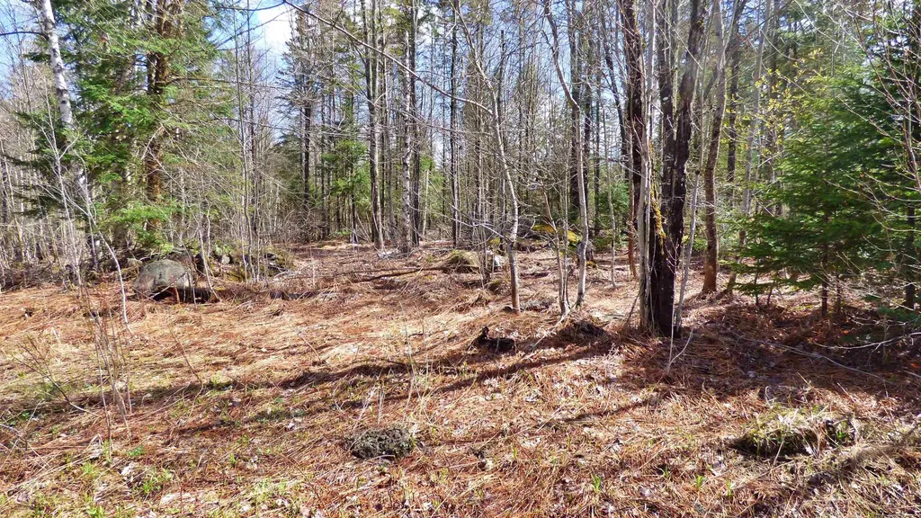 Spar Hawk Road Wheelock VT 05851