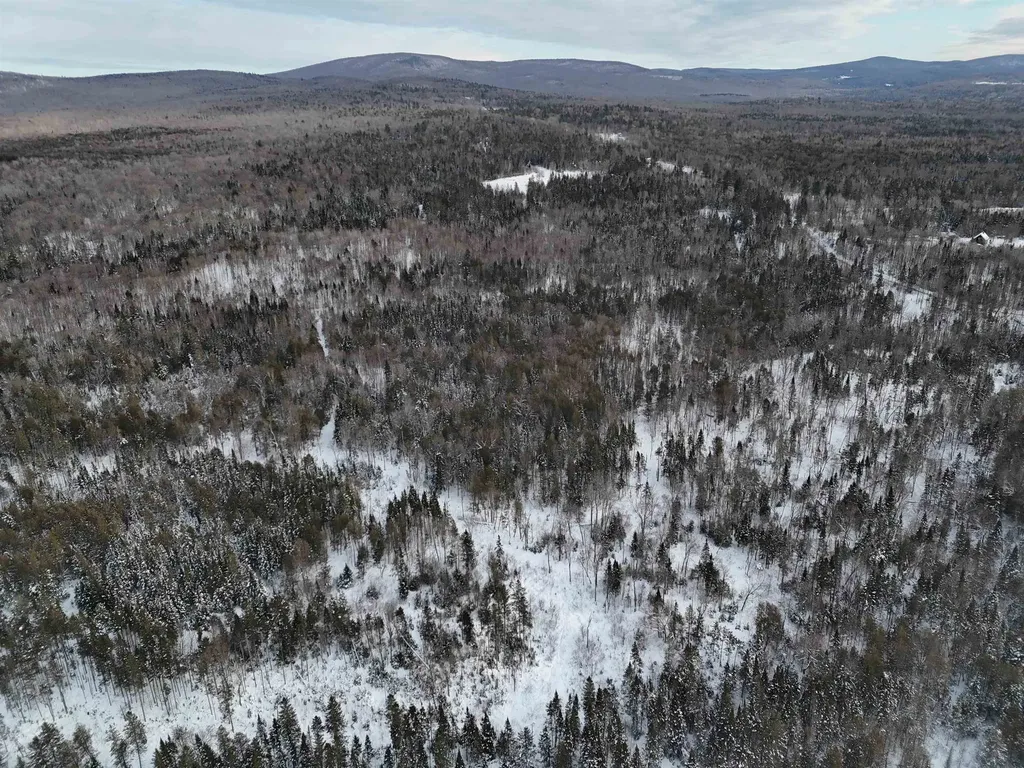 Spar Hawk Road Wheelock VT 05851