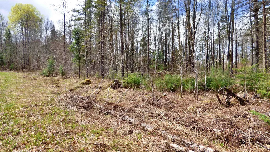Spar Hawk Road Wheelock VT 05851