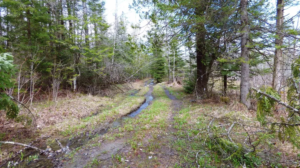 Spar Hawk Road Wheelock VT 05851