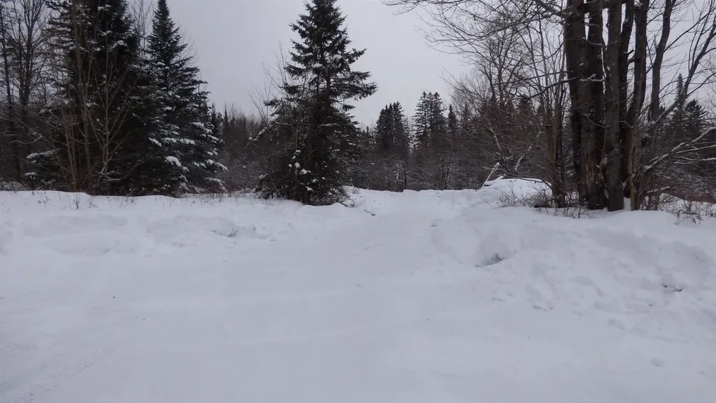 Spar Hawk Road Wheelock VT 05851